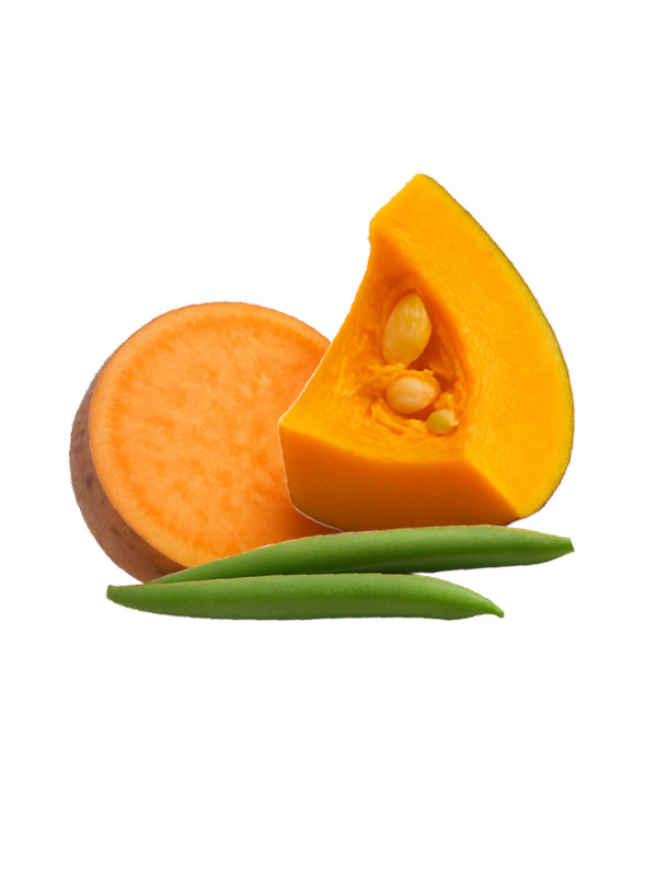 woofies-dog-treat-product-4