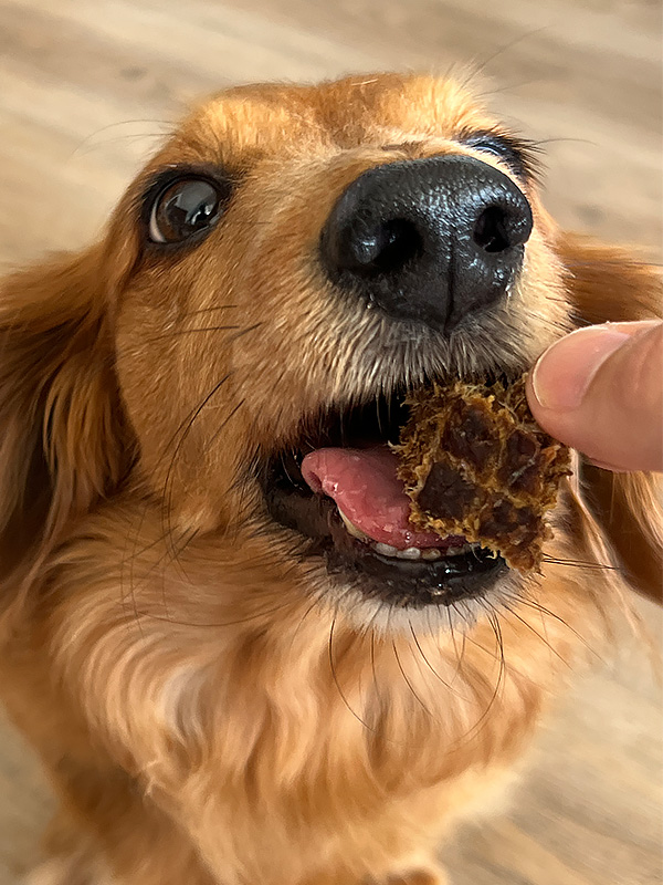 woofies-dog-treat-product-5